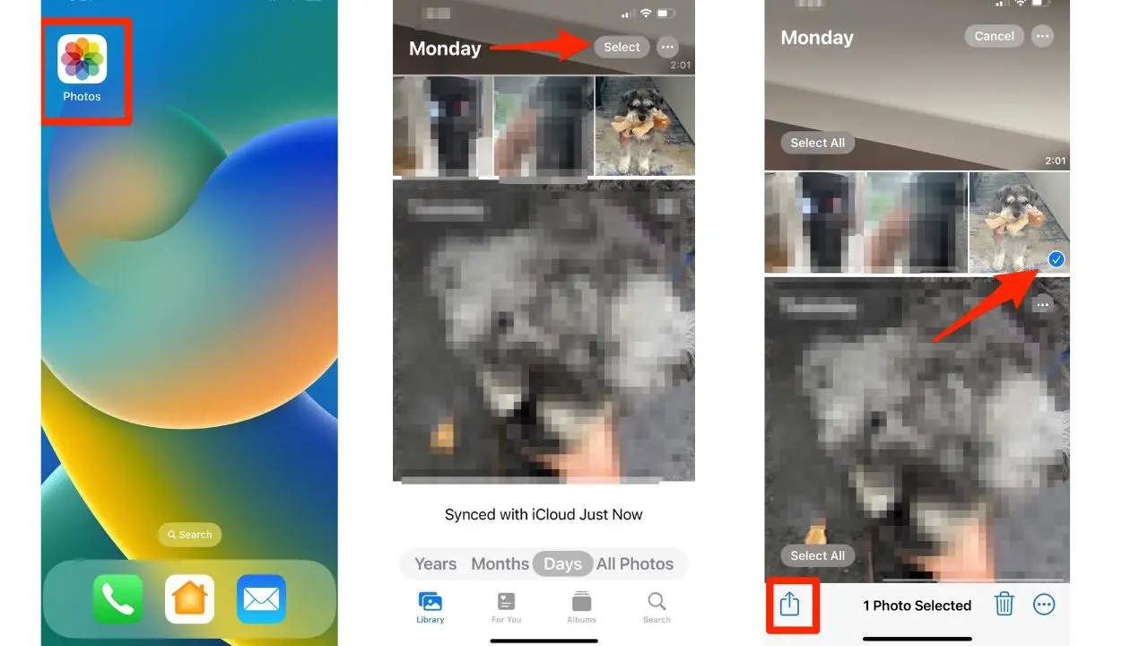 Screenshots of the Apple Photos app.