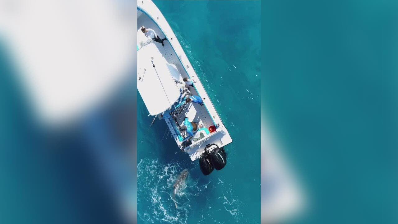Florida fishing boat seen 'shaking like an earthquake' as underwater predator pounces