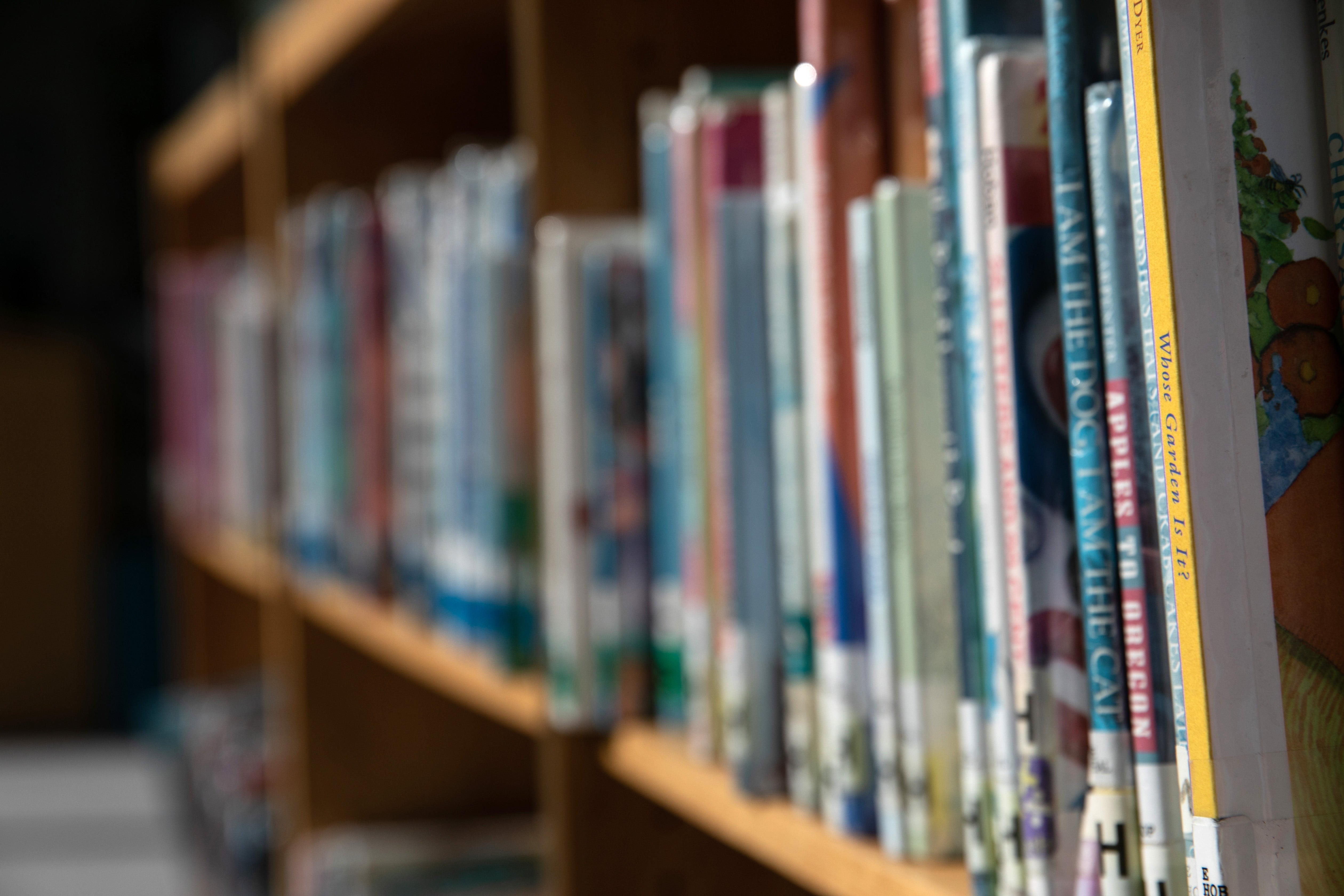 File photo of books in a library