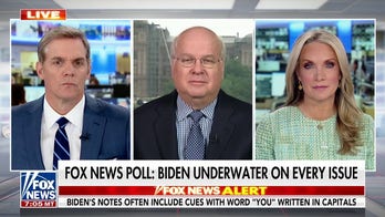 Karl Rove: Polls show Biden's base is 'discouraged' about him