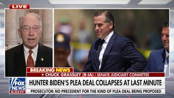 Grassley says Hunter Biden judge was right to question 'sweetheart' deal: FBI must 'do their job'