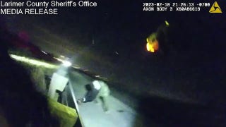Deputy deploys Taser on suspect running across interstate - Fox News