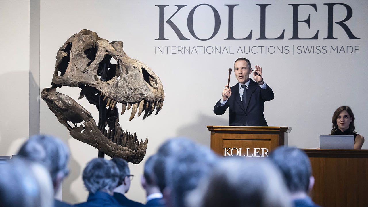 Belgian art foundation to exhibit $5 million T. rex skeleton in Antwerp