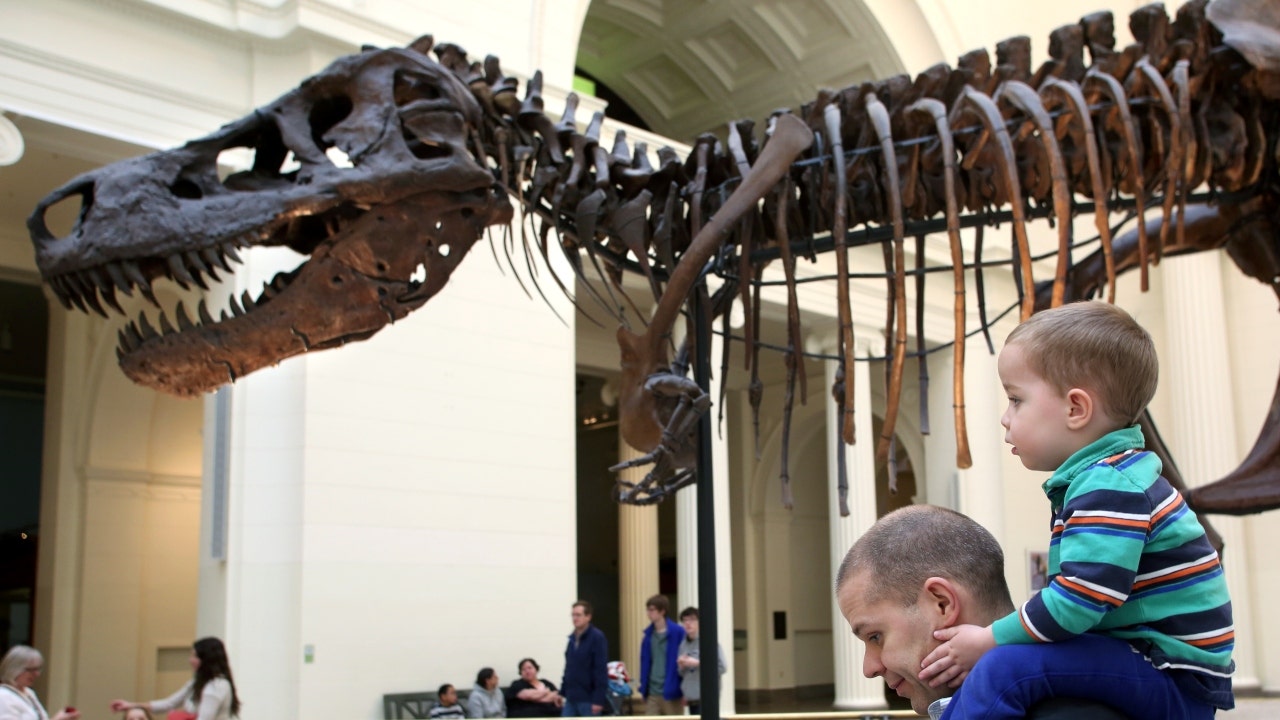 T. rex may have had big scaly lips, study says